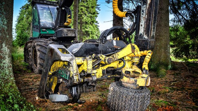 Working harvester in forest